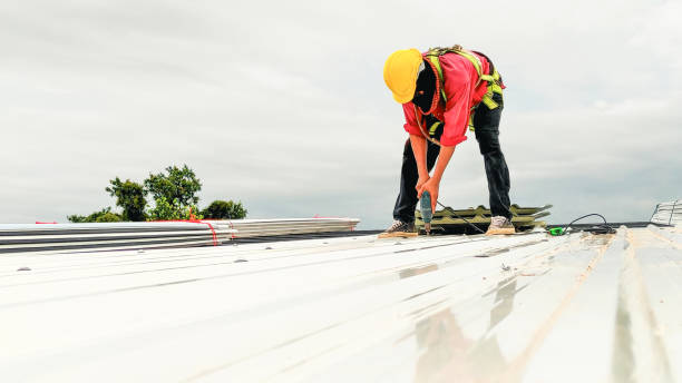 Best Roof Maintenance and Cleaning  in Hasley Nyon, CA