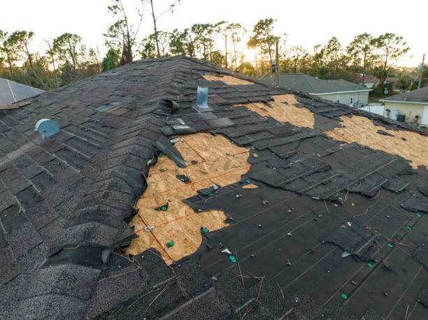 Best Steel Roofing  in Hasley Nyon, CA